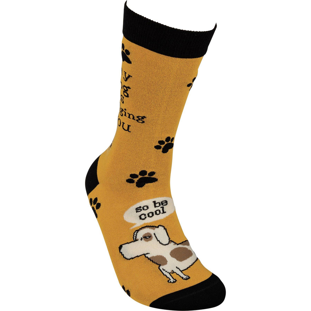 My Dog Is Judging You Socks